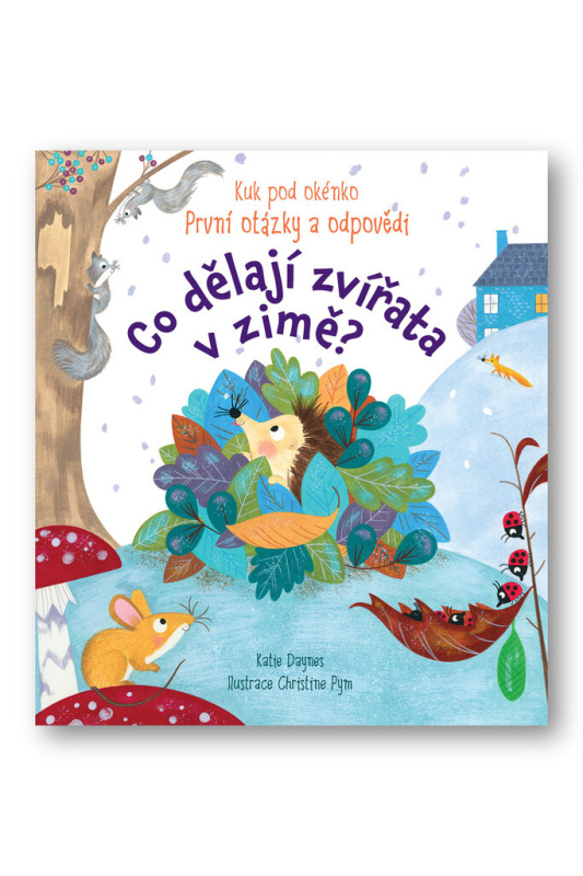 Co dělají zvířata v zimě? - Katie Daynes