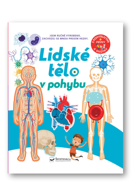 Lidské tělo v pohybu - David Hawcock