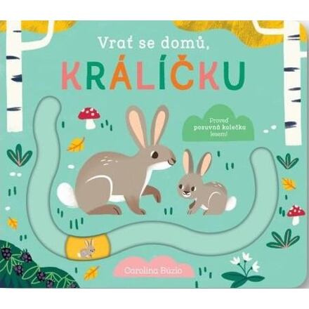 Vrať se domů, králíčku
