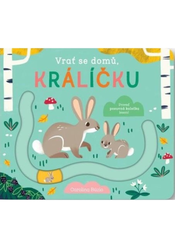 Vrať se domů, králíčku