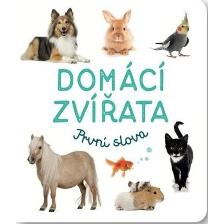 Domácí zvířata - První slova