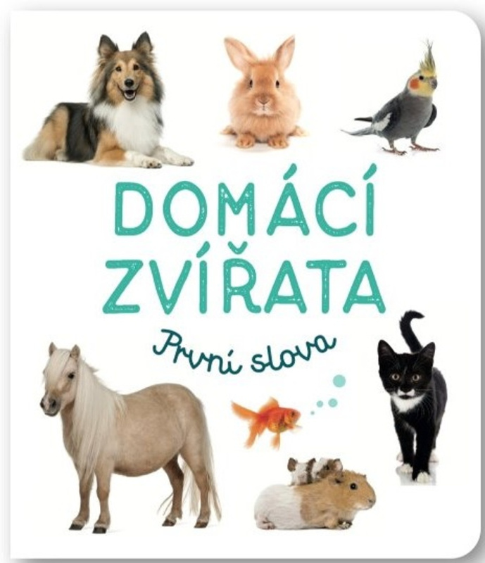 Domácí zvířata - První slova