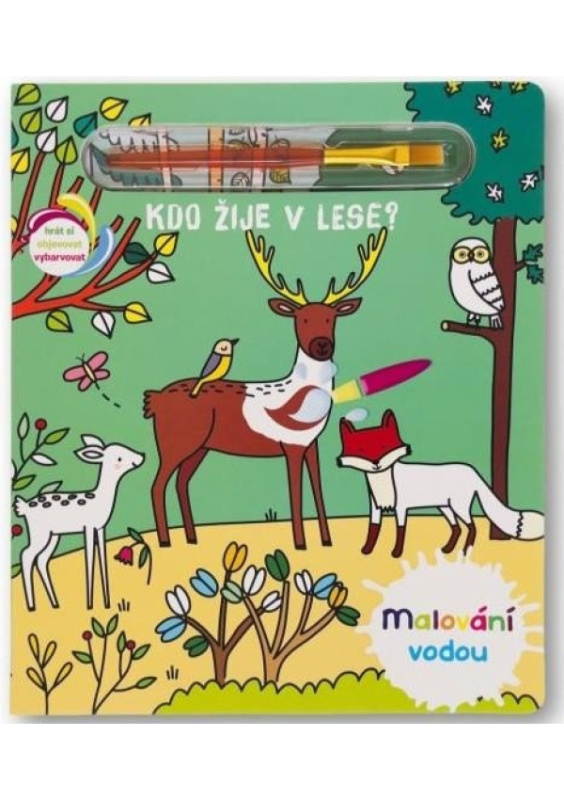Svojtka & Co. Malování vodou: Kdo žije v lese?