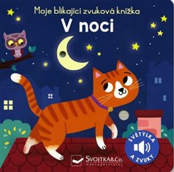 Moje blikající zvuková knížka - V noci - Maria Höck
