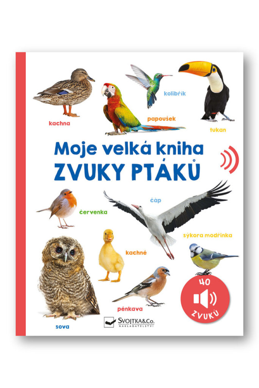 Moje velká kniha - Zvuky ptáků