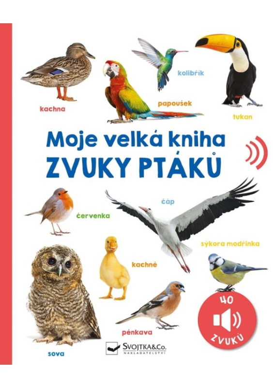 Moje velká kniha - Zvuky ptáků