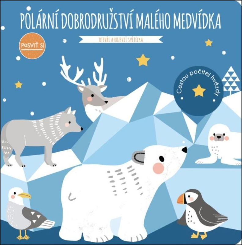 Posviť si - Polární dobrodružství malého medvídka - Jane Kent