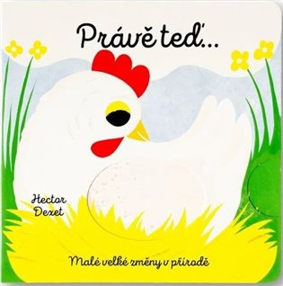 Právě teď… (Malé velké změny v přírodě) - Hector Dexet - kniha z kategorie Naučné knihy