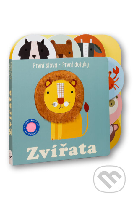 První slova První dotyky Zvířata - Sally Payne