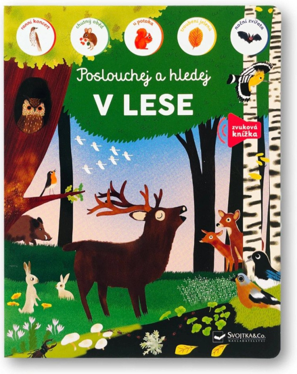 V lese - poslouchej a hledej - Marie Paruit