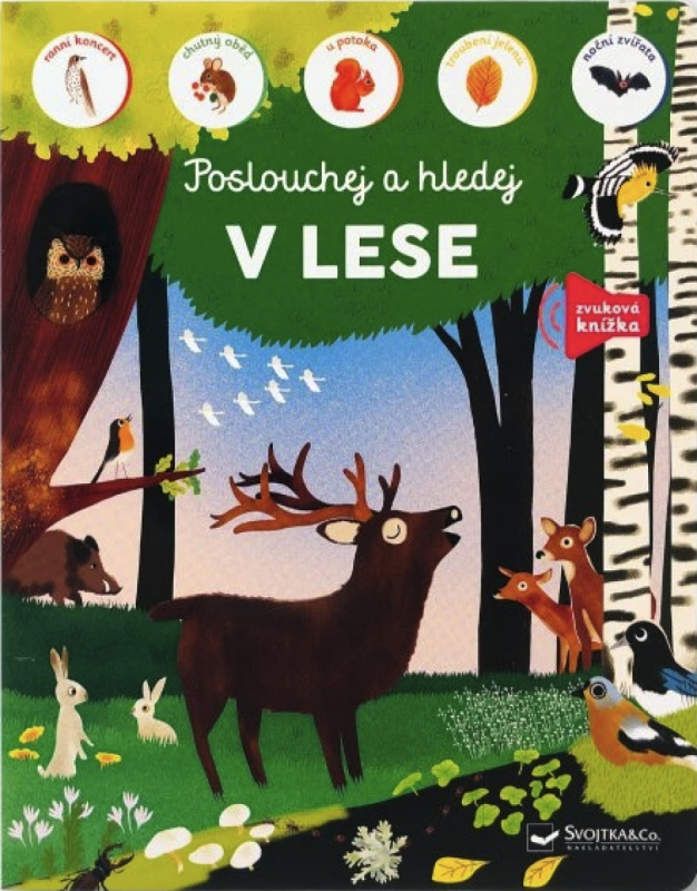 V lese - poslouchej a hledej - Marie Paruit