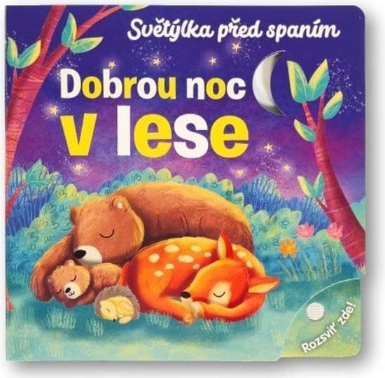 Světýlka před spaním Dobrou noc v lese - Maria Hoeck
