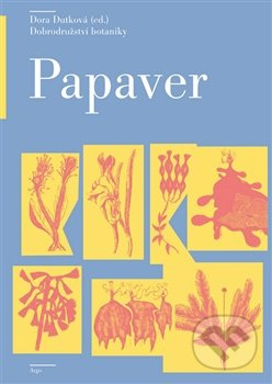 Papaver