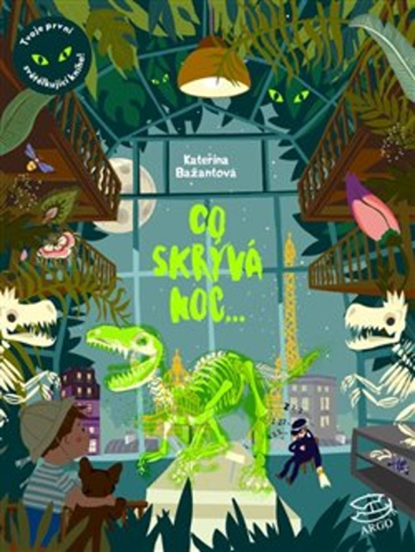 Co skrývá noc - Kateřina Bažantová