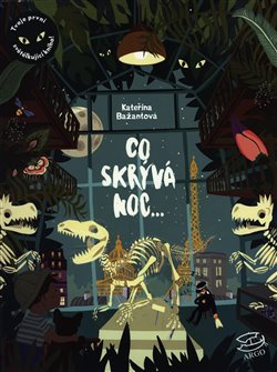 Co skrývá noc - Kateřina Bažantová