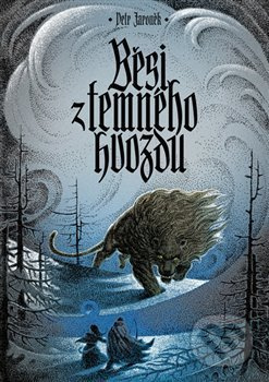 Běsi z temného hvozdu - Petr Jaroněk