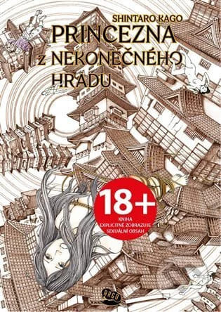 Princezna z Nekonečného hradu - Šintaró Kago