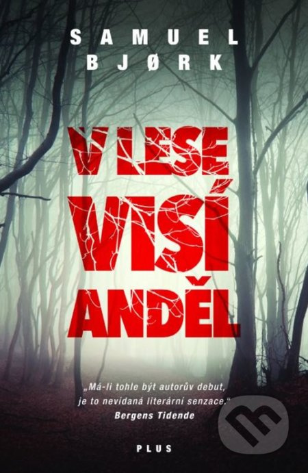 V lese visí anděl - Samuel Bjork