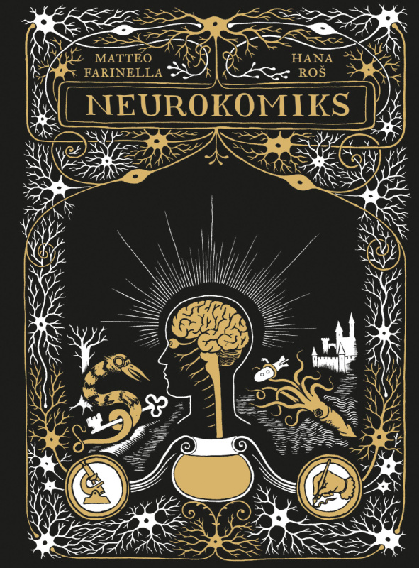 Neurokomiks - Hana Roš, Matteo Farinella - kniha z kategorie Komiksy