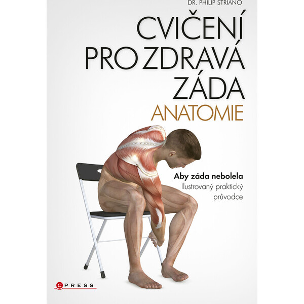 Cvičení pro zdravá záda - anatomie