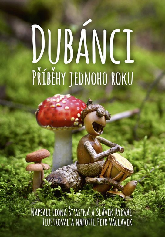 Dubánci - příběhy jednoho roku -  Slávek Rydval