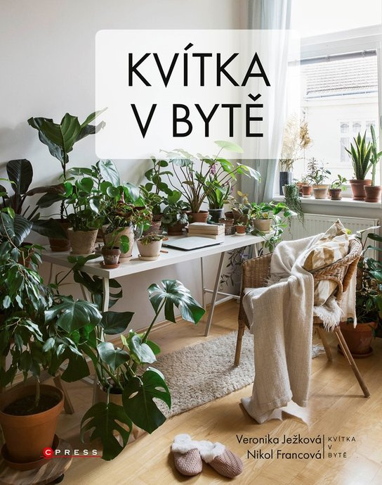 Kvítka v bytě -  Kolektiv autorů