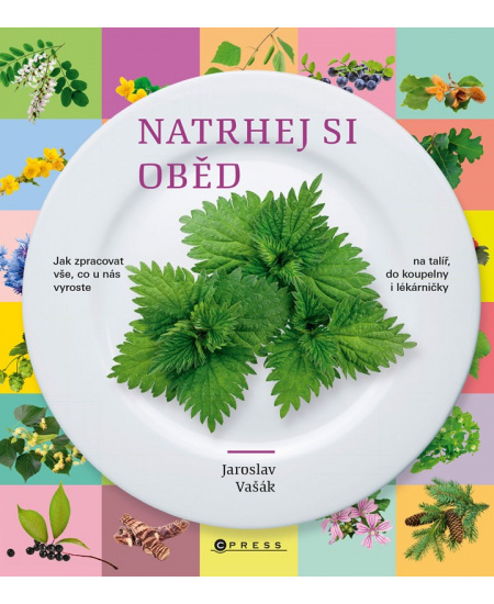 Natrhej si oběd - Jaroslav Vašák