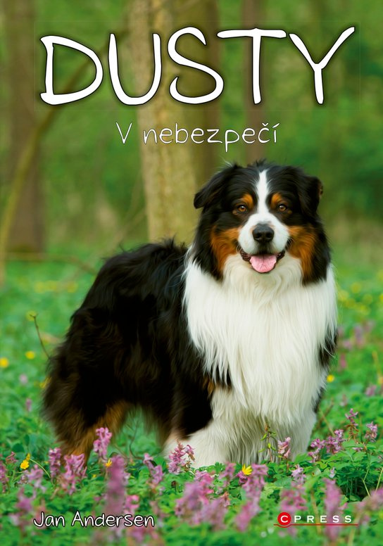 Dusty: V nebezpečí -  Jan Andersen