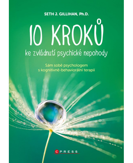 10 kroků ke zvládnutí psychické nepohody - Seth J. Gillihan
