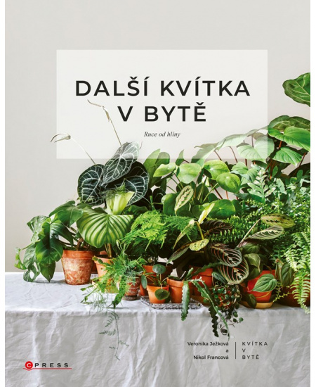 Další kvítka v bytě: Ruce od hlíny - Veronika Ježková, Nikol Francová