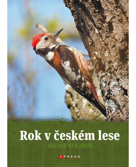 Rok v českém lese - Julius Klejdus