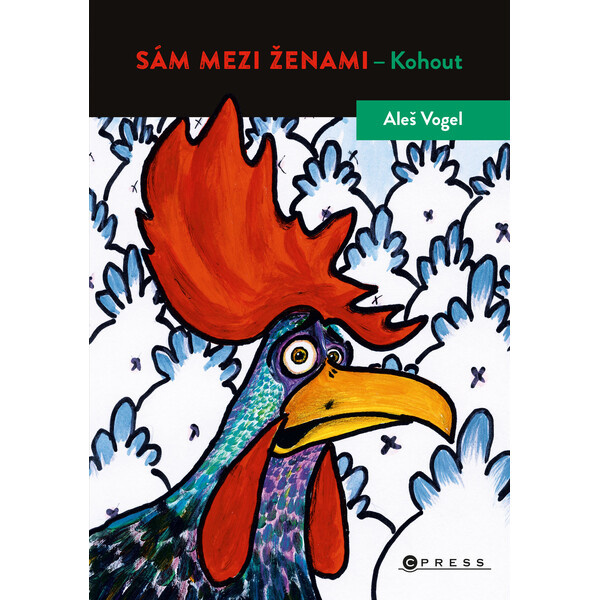 Sám mezi ženami
