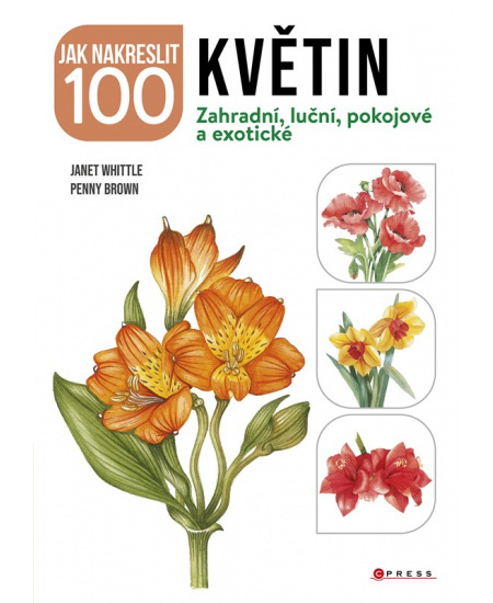 Jak nakreslit 100 květin - kolektiv