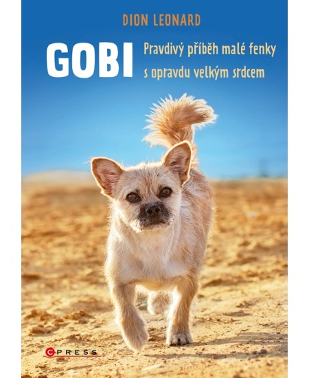 Gobi - Dion Leonard