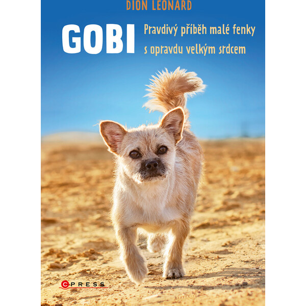 Gobi - Dion Leonard