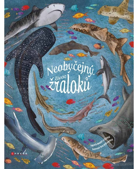 Neobyčejný život žraloků