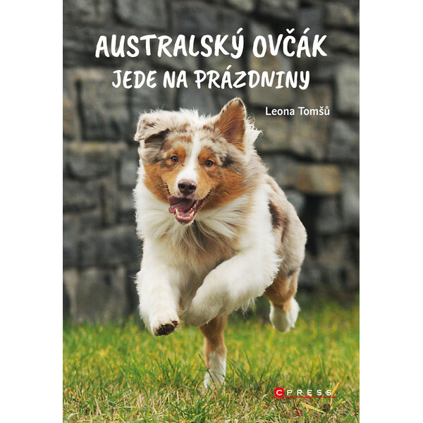 Australský ovčák jede na prázdniny