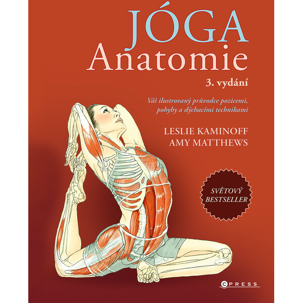 Jóga – anatomie - Leslie Kaminoff, Amy Matthews