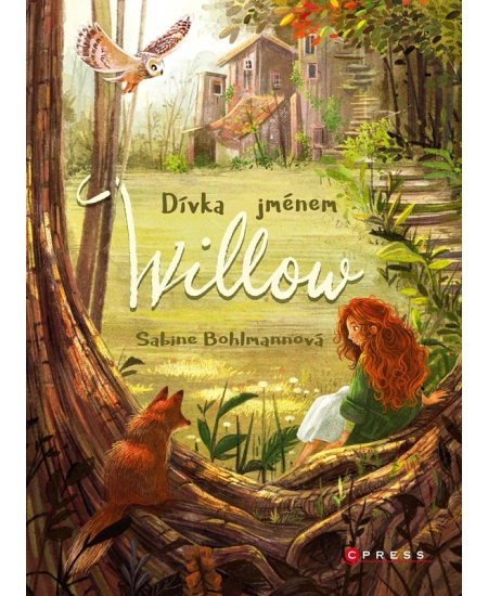 Dívka jménem Willow - Sabine Bohlmannová