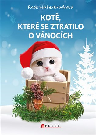Kotě, které se ztratilo o Vánocích - Rose Waterbrooková