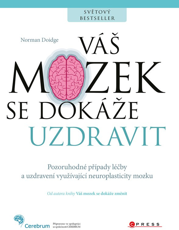 Váš mozek se dokáže uzdravit