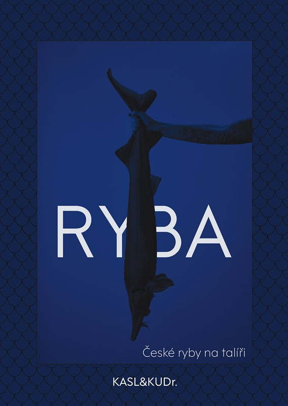 Ryba: české ryby na talíři CPRESS