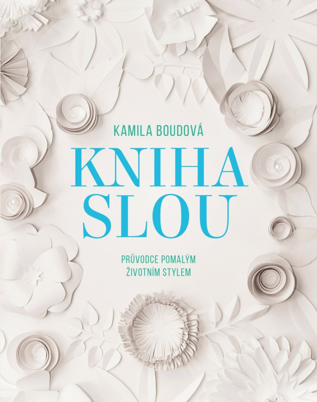Kniha SLOU BIZBOOKS