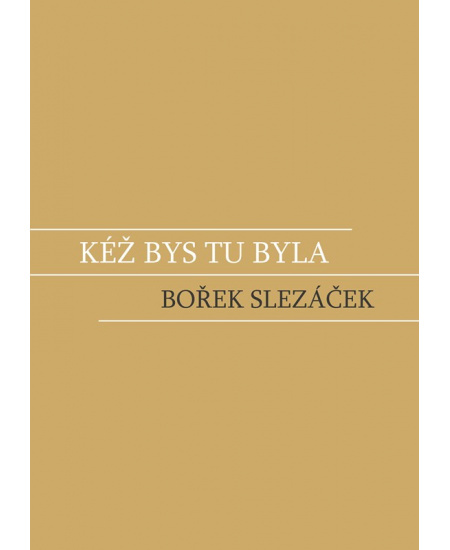 Kéž bys tu byla - Bořek Slezáček