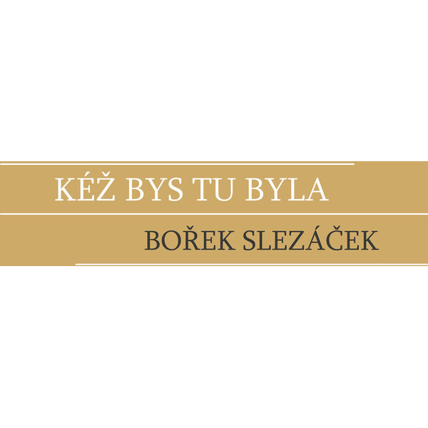 Kéž bys tu byla - Bořek Slezáček