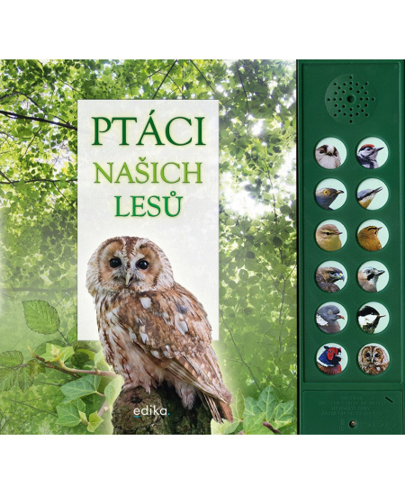 Ptáci našich lesů - zvuková knížka - Pinningtonová Andrea, Buckingham Caz