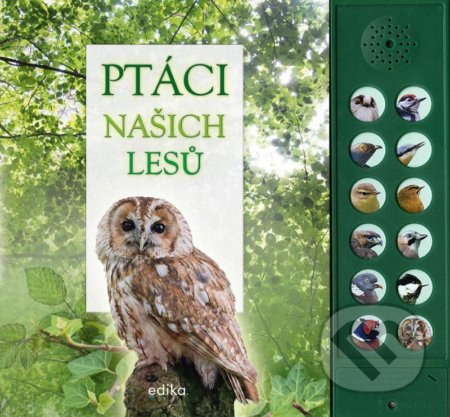 Ptáci našich lesů - zvuková knížka - Pinningtonová Andrea, Buckingham Caz