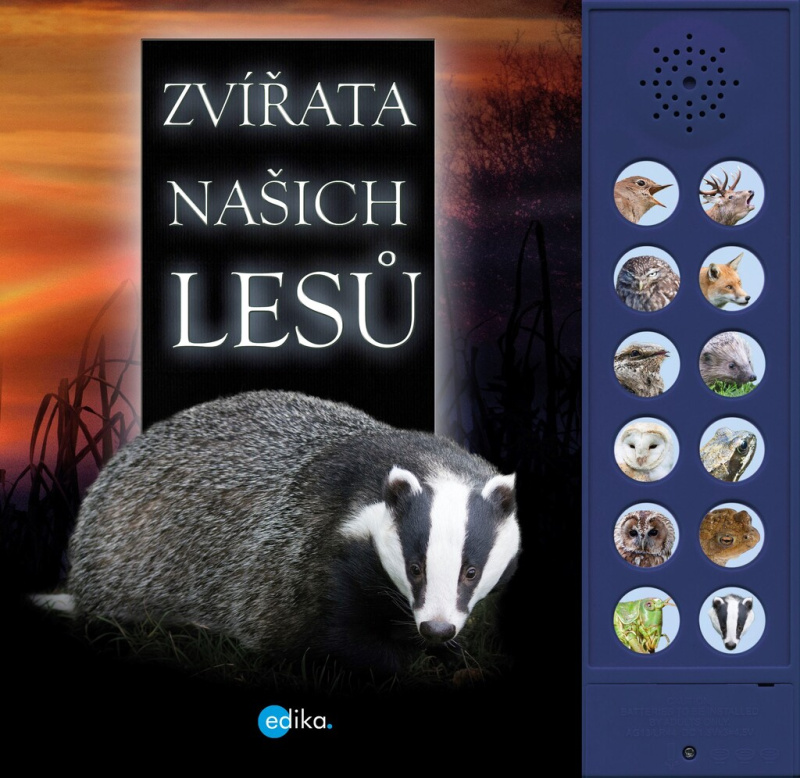 Zvířata našich lesů - Caz Buckingham, Andrea Pinnington