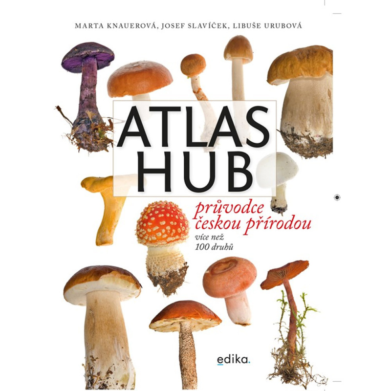 Atlas hub - Marta Knauerová