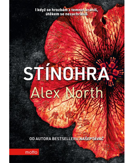 Stínohra MOTTO